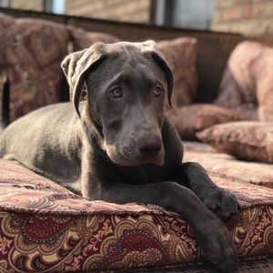 Meet your Posher, Stacee